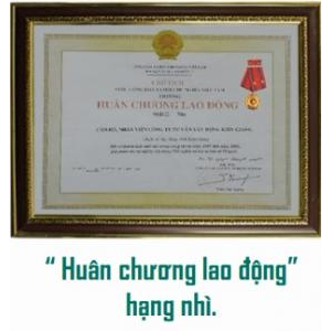 V. Danh hiệu và giải thưởng